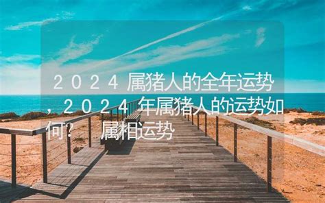 2024属猪|属猪人2024年全年运势运程详解